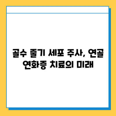 골수 줄기 세포 주사, 연골 연화증 치료에 효과적인가요? | 연골 연화증, 줄기세포 치료, 골수 줄기 세포