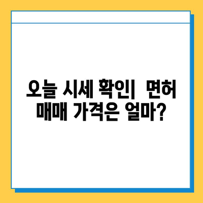 경기도 광주시 남한산성면 개인택시 면허 매매 가격| 오늘 시세 확인 & 자격조건, 월수입, 양수교육 정보 | 번호판, 넘버값, 매매 가이드