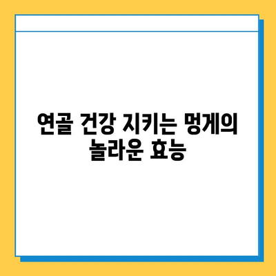 멍게의 놀라운 연골 강화 효과| 건강한 관절을 위한 선택 | 멍게 효능, 연골 건강, 관절 건강, 콜라겐