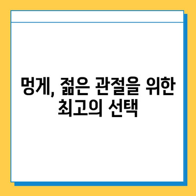 멍게의 놀라운 연골 강화 효과| 건강한 관절을 위한 선택 | 멍게 효능, 연골 건강, 관절 건강, 콜라겐