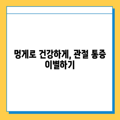 멍게의 놀라운 연골 강화 효과| 건강한 관절을 위한 선택 | 멍게 효능, 연골 건강, 관절 건강, 콜라겐