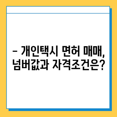 충청남도 계룡시 두마면 개인택시 면허 매매 가격| 오늘 시세, 넘버값, 자격조건, 월수입, 양수교육 | 상세 정보