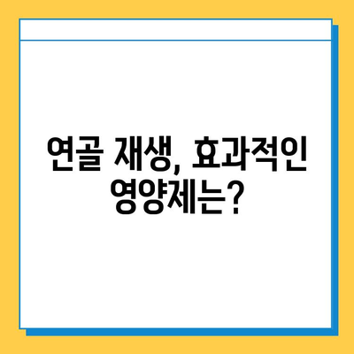 관절연골영양제 효과 입증 후기| 가시적인 변화를 확인하세요 | 관절 건강, 연골 재생, 영양제 추천