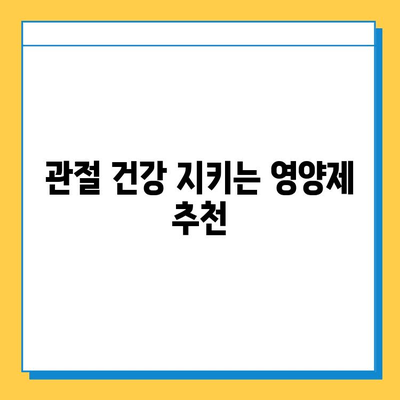 관절연골영양제 효과 입증 후기| 가시적인 변화를 확인하세요 | 관절 건강, 연골 재생, 영양제 추천