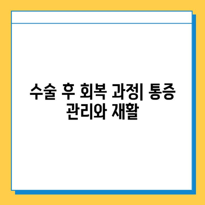 무릎 연골 임플란트 수술, 기능 회복 위한 완벽 가이드 | 무릎 통증, 관절염, 재활, 회복 기간