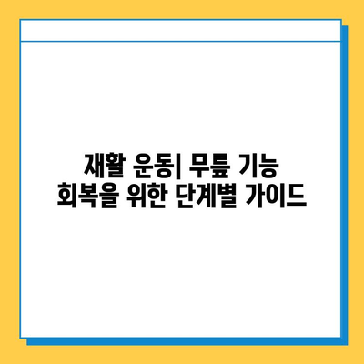 무릎 연골 임플란트 수술, 기능 회복 위한 완벽 가이드 | 무릎 통증, 관절염, 재활, 회복 기간