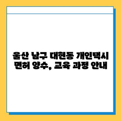 울산 남구 대현동 개인택시 면허 매매| 오늘 시세, 넘버값, 자격조건, 월수입, 양수교육 | 상세 정보