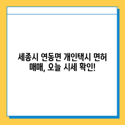 세종시 연동면 개인택시 면허 매매 가격| 오늘 시세 확인 & 자격조건 | 월수입 | 양수교육