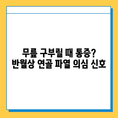 무릎 구부릴 때 통증? 반월상 연골 파열 의심해보세요| 증상, 진단, 치료 | 무릎 통증, 반월상 연골, 운동, 재활