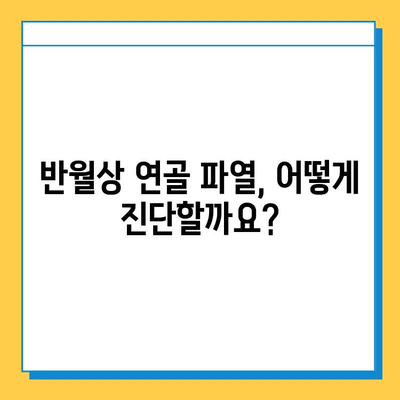 무릎 구부릴 때 통증? 반월상 연골 파열 의심해보세요| 증상, 진단, 치료 | 무릎 통증, 반월상 연골, 운동, 재활