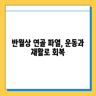 무릎 구부릴 때 통증? 반월상 연골 파열 의심해보세요| 증상, 진단, 치료 | 무릎 통증, 반월상 연골, 운동, 재활