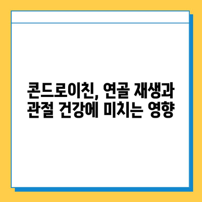 호주산 관절 연골 영양제 후기| 콘드로이친의 효능과 장점 | 관절 건강, 연골 재생, 부작용, 추천