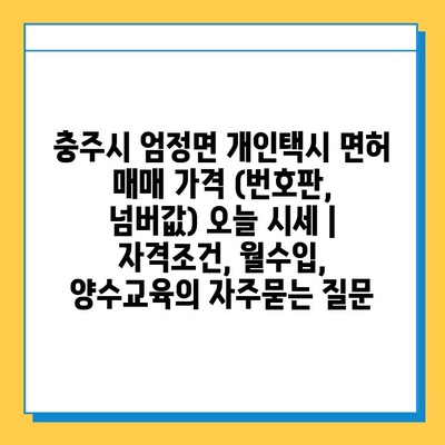 충주시 엄정면 개인택시 면허 매매 가격 (번호판, 넘버값) 오늘 시세 | 자격조건, 월수입, 양수교육