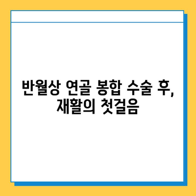 반월상 연골 파열 봉합 수술 후 성공적인 재활, 이렇게 하세요! | 재활 운동, 회복 기간, 주의 사항, 전문가 조언