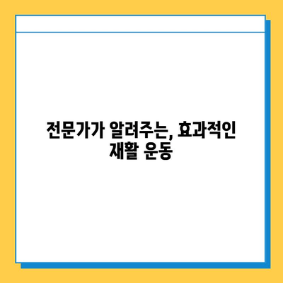 반월상 연골 파열 봉합 수술 후 성공적인 재활, 이렇게 하세요! | 재활 운동, 회복 기간, 주의 사항, 전문가 조언