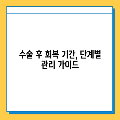 반월상 연골 파열 봉합 수술 후 성공적인 재활, 이렇게 하세요! | 재활 운동, 회복 기간, 주의 사항, 전문가 조언