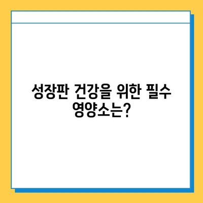 연골 성장판 건강 지키는 식단| 성장기 아이들을 위한 영양 가이드 | 성장판, 성장, 영양, 식단, 건강