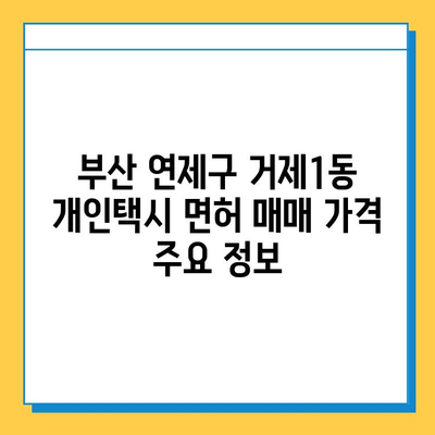 부산 연제구 거제1동 개인택시 면허 매매 가격| 오늘 시세 확인 & 자격조건/월수입/양수교육 정보 | 넘버값, 번호판