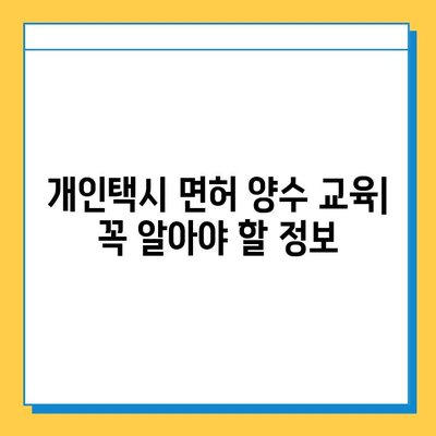 부산 연제구 거제1동 개인택시 면허 매매 가격| 오늘 시세 확인 & 자격조건/월수입/양수교육 정보 | 넘버값, 번호판