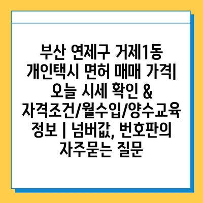 부산 연제구 거제1동 개인택시 면허 매매 가격| 오늘 시세 확인 & 자격조건/월수입/양수교육 정보 | 넘버값, 번호판