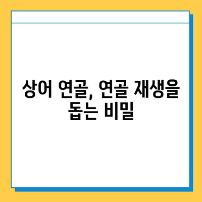 관절 건강 회복을 위한 상어 연골 약물| 효과와 사용법 | 상어 연골, 관절 통증, 연골 재생, 건강 정보