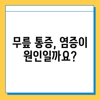 무릎 통증의 주범, 염증과 연골 손상| 원인과 해결책 | 무릎 통증, 관절염, 연골 재생, 운동