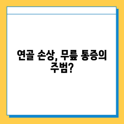 무릎 통증의 주범, 염증과 연골 손상| 원인과 해결책 | 무릎 통증, 관절염, 연골 재생, 운동