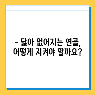 관절 연골 건강 지키기| 효과적인 영양제 선택 가이드 | 관절 건강, 연골 재생, 영양제 추천, 효능 비교