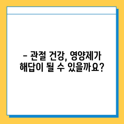 관절 연골 건강 지키기| 효과적인 영양제 선택 가이드 | 관절 건강, 연골 재생, 영양제 추천, 효능 비교