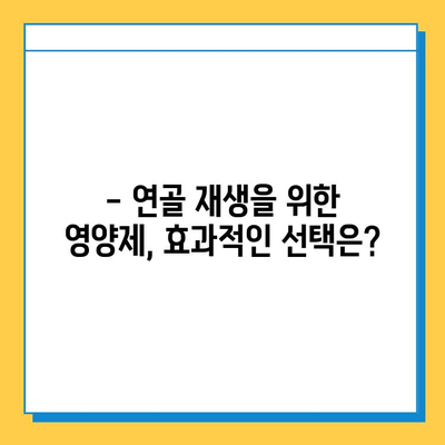 관절 연골 건강 지키기| 효과적인 영양제 선택 가이드 | 관절 건강, 연골 재생, 영양제 추천, 효능 비교