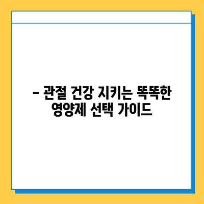 관절 연골 건강 지키기| 효과적인 영양제 선택 가이드 | 관절 건강, 연골 재생, 영양제 추천, 효능 비교