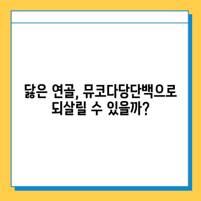 연골 재생의 희망| 뮤코다당단백, 왜 선택해야 할까? | 연골 재생, 뮤코다당단백, 치료법, 효과