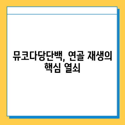 연골 재생의 희망| 뮤코다당단백, 왜 선택해야 할까? | 연골 재생, 뮤코다당단백, 치료법, 효과