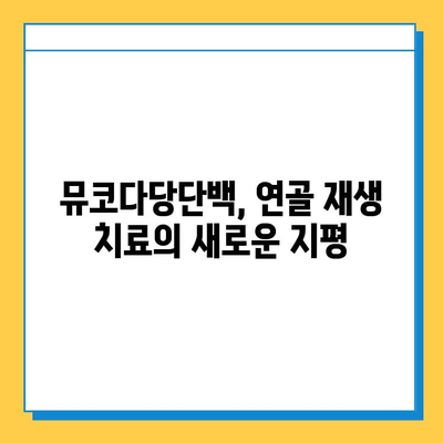 연골 재생의 희망| 뮤코다당단백, 왜 선택해야 할까? | 연골 재생, 뮤코다당단백, 치료법, 효과