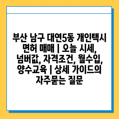 부산 남구 대연5동 개인택시 면허 매매 | 오늘 시세, 넘버값, 자격조건, 월수입, 양수교육 | 상세 가이드