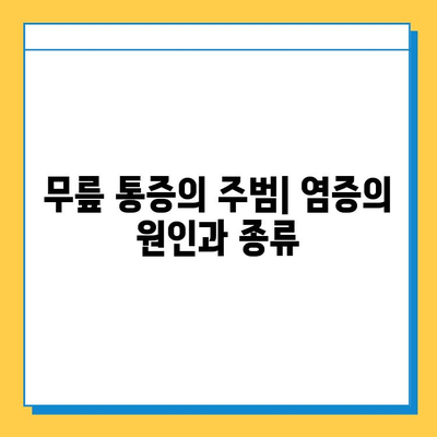 무릎 염증| 힘줄과 연골의 영향 | 통증 원인, 치료 및 예방