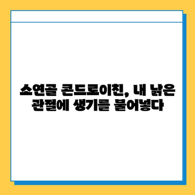 소연골 콘드로이친, 관절 건강 지키는 나의 경험| 솔직 후기 | 관절 관리, 연골 재생, 건강정보