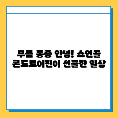 소연골 콘드로이친, 관절 건강 지키는 나의 경험| 솔직 후기 | 관절 관리, 연골 재생, 건강정보