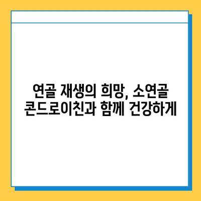 소연골 콘드로이친, 관절 건강 지키는 나의 경험| 솔직 후기 | 관절 관리, 연골 재생, 건강정보