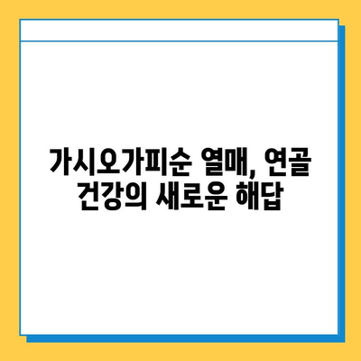 가시오가피순 열매, 연골 건강 관리의 새로운 지혜 | 가시오가피, 연골 건강, 관절 건강, 복합 관리