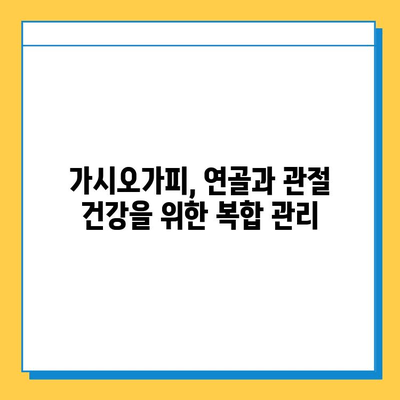 가시오가피순 열매, 연골 건강 관리의 새로운 지혜 | 가시오가피, 연골 건강, 관절 건강, 복합 관리