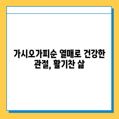 가시오가피순 열매, 연골 건강 관리의 새로운 지혜 | 가시오가피, 연골 건강, 관절 건강, 복합 관리