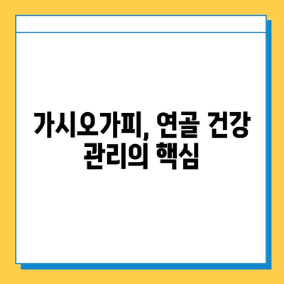 가시오가피순 열매, 연골 건강 관리의 새로운 지혜 | 가시오가피, 연골 건강, 관절 건강, 복합 관리