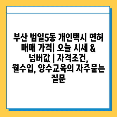 부산 범일5동 개인택시 면허 매매 가격| 오늘 시세 & 넘버값 | 자격조건, 월수입, 양수교육