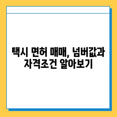 서울 강동구 명일제2동 개인택시 면허 매매 가격| 오늘 시세 확인 및 양수 교육 정보 | 번호판, 넘버값, 자격조건, 월수입