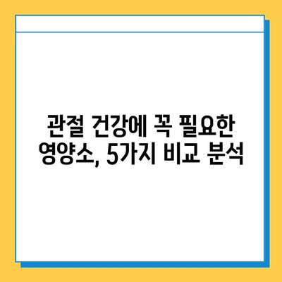 무릎 연골 통증 완화에 도움 되는 관절 통증 영양제 추천 | 연골 재생, 관절 건강, 영양제 비교