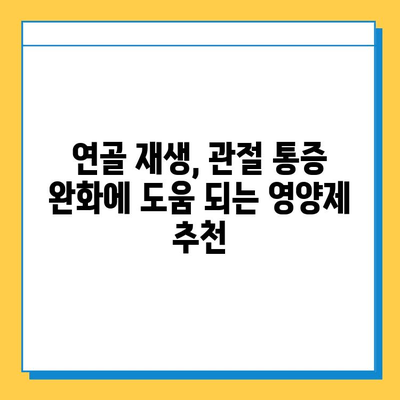 무릎 연골 통증 완화에 도움 되는 관절 통증 영양제 추천 | 연골 재생, 관절 건강, 영양제 비교