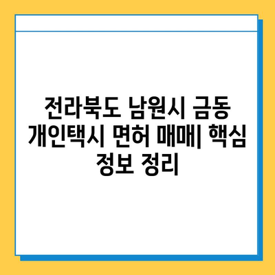 전라북도 남원시 금동 개인택시 면허 매매 가격| 오늘 시세 확인 및 양수 교육 정보 | 번호판, 넘버값, 자격조건, 월수입