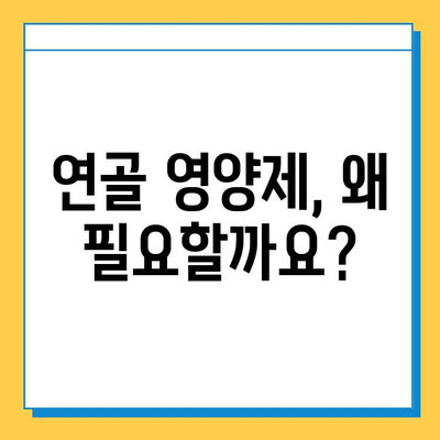 관절 건강 지키는 선택! 나에게 맞는 연골 영양제 찾는 방법 | 관절 연골 영양제, 효능 비교, 선택 가이드