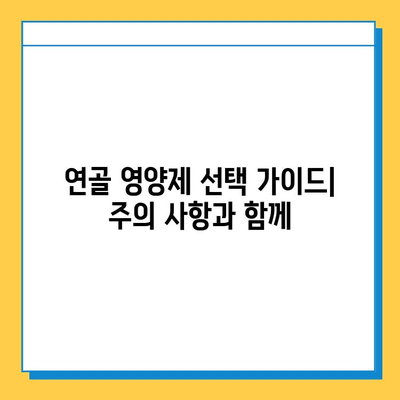 관절 건강 지키는 선택! 나에게 맞는 연골 영양제 찾는 방법 | 관절 연골 영양제, 효능 비교, 선택 가이드